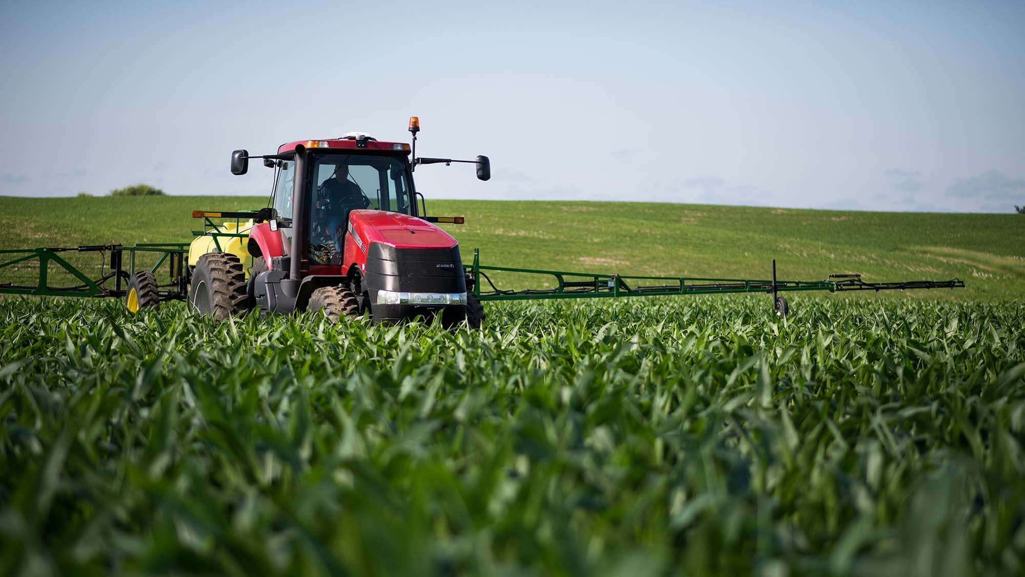 Second Responsive Image